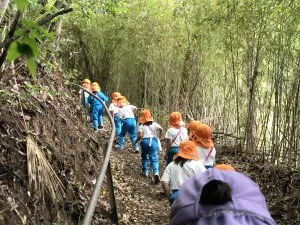 こいのぼり山遠足（４月２８日) 