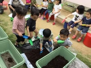 今年も夏野菜がいっぱい！！（ぞう組、きりん組）