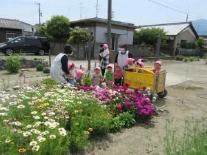 散歩に出かけました。（うさぎ組、ぞう組、きりん組）