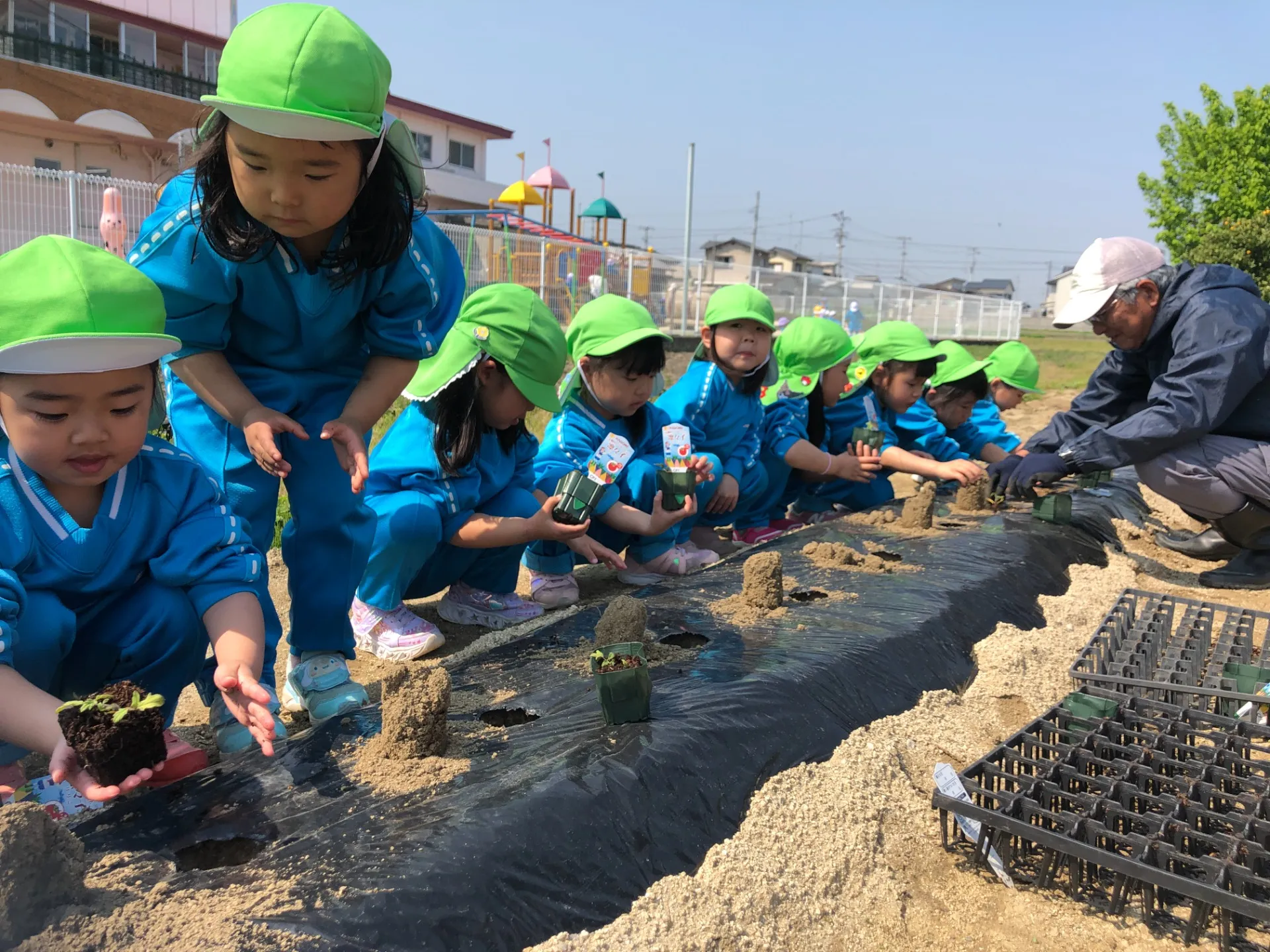 トマトの苗を植えました（４月１７日）