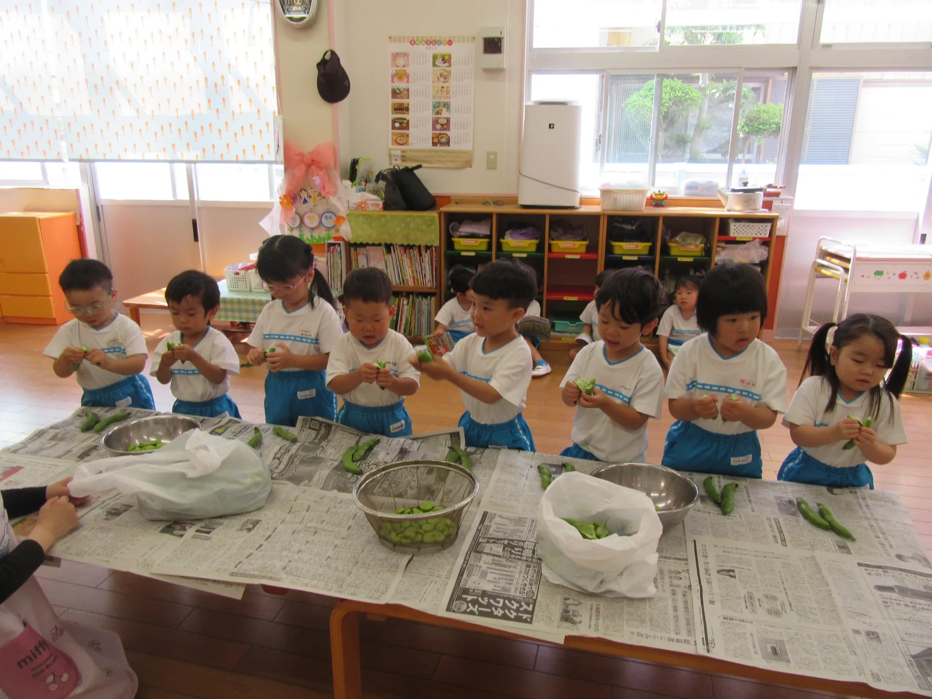 そら豆のさやむきをしたよ(ぞう組・きりん組)　5月15日