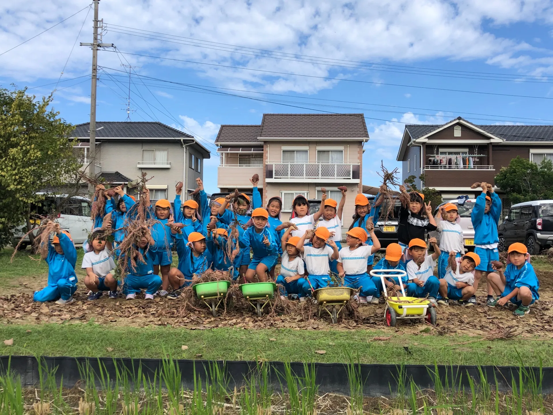 いもほり（幼児組、１０月２４日）