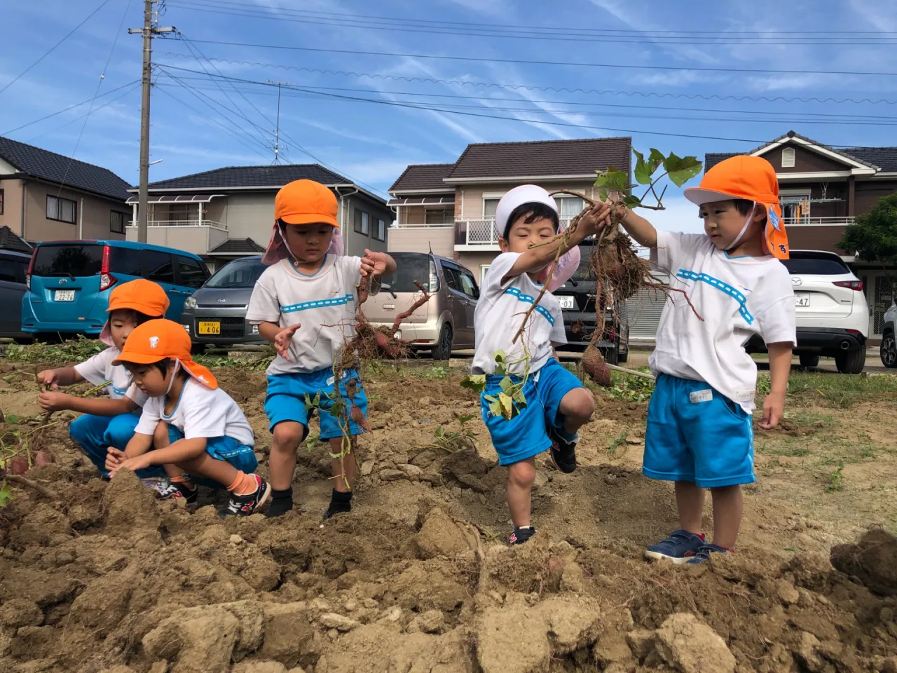 いもほり（幼児組、１０月２３日）